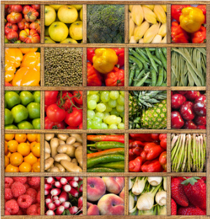 Vegan Recipes